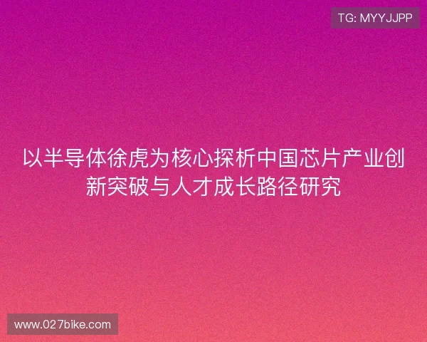 以半导体徐虎为核心探析中国芯片产业创新突破与人才成长路径研究